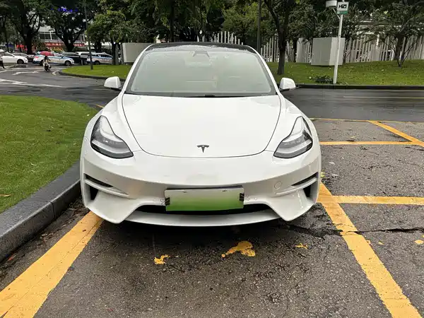 Tesla Model 3 2020