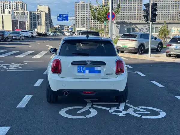 MINI MINI 2020