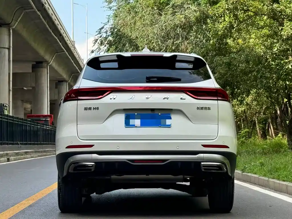Haval H6 2024 — фото 12