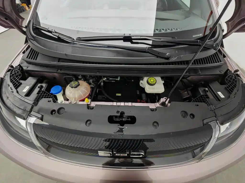 BYD Dolphin 2023
