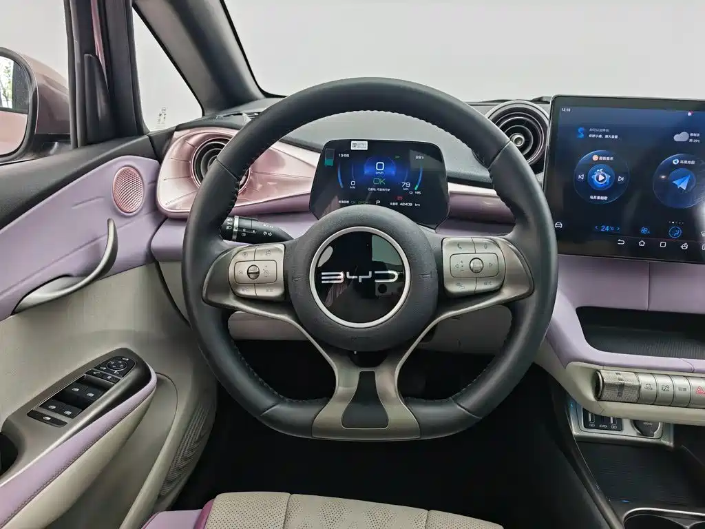 BYD Dolphin 2023 — фото 11