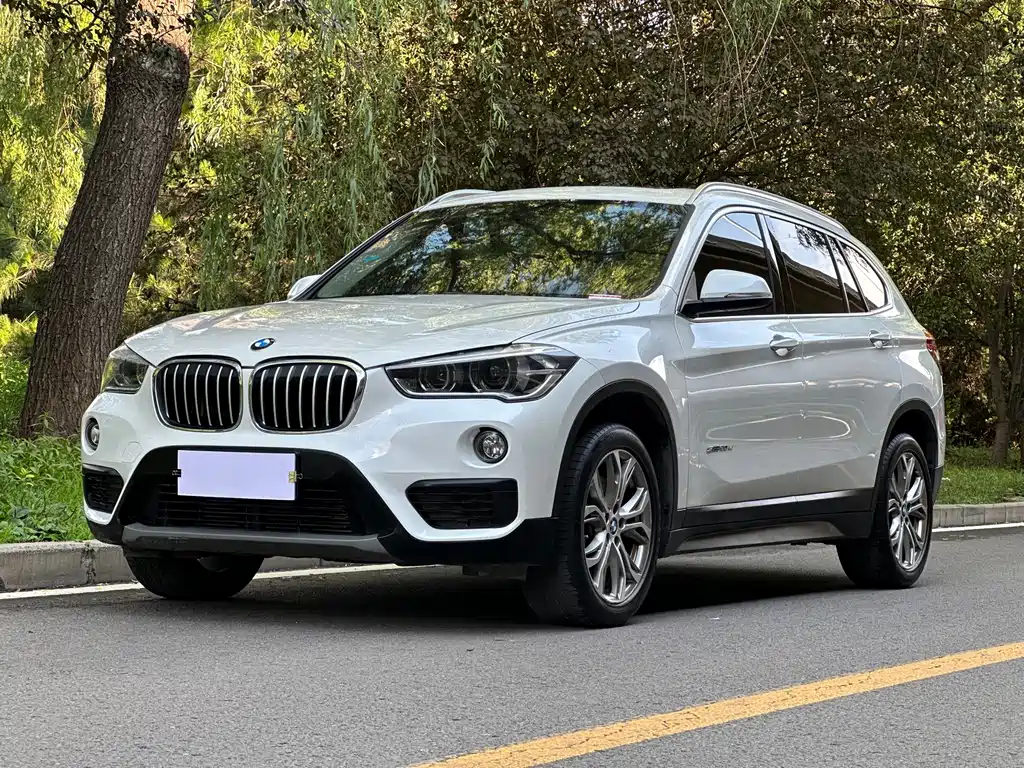BMW X1 2017 — фото 1