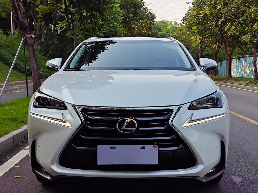 Lexus NX 2015 — фото 6