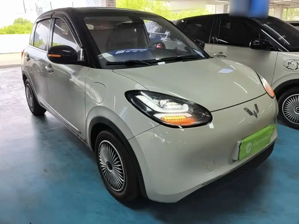 Wuling Bingo 2024