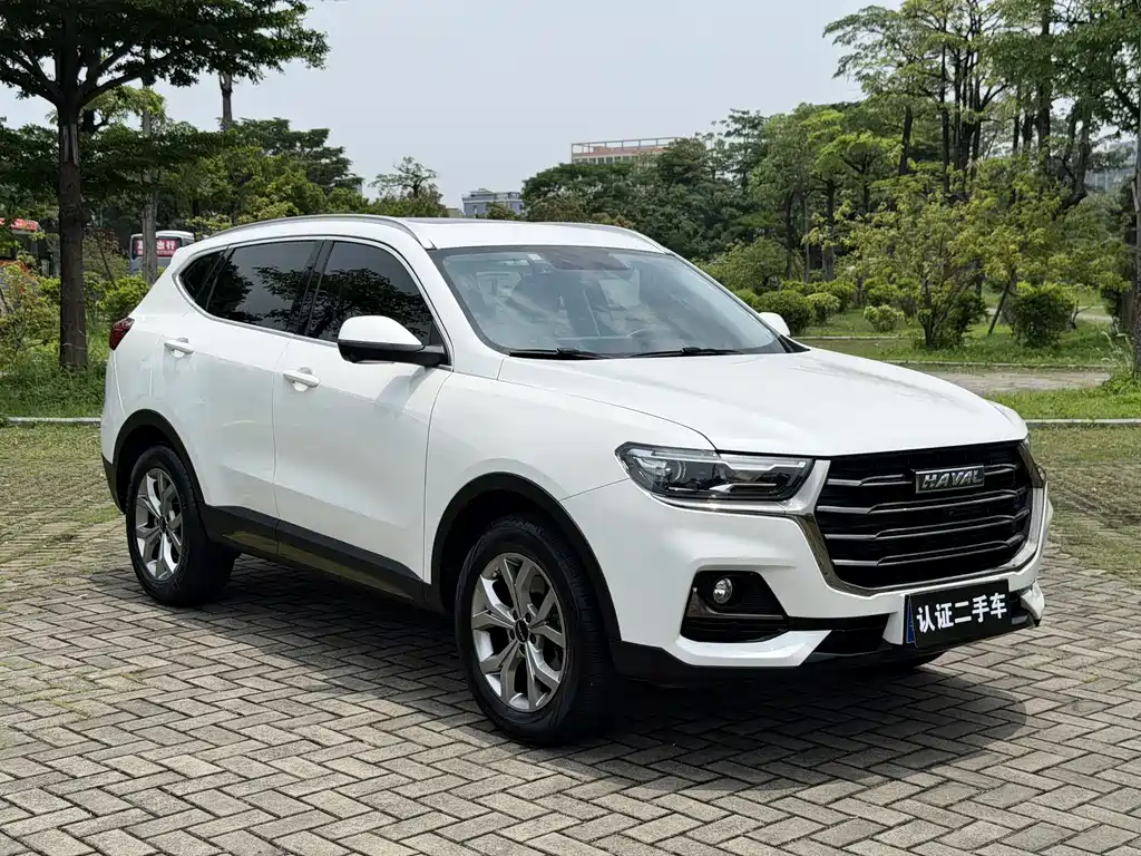 Haval H6 2021 — фото 3