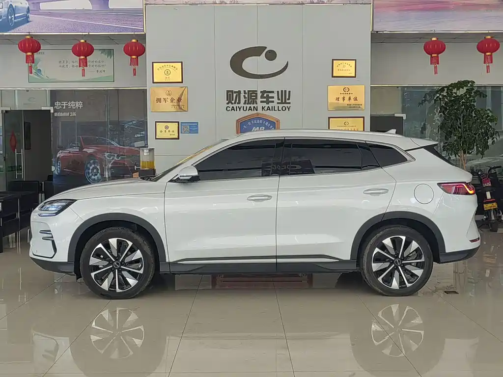 BYD PLUS New Energy 2025 — фото 3