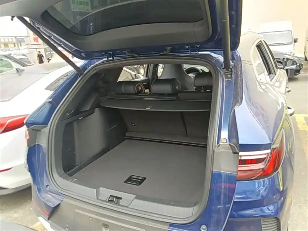 BYD PLUS New Energy 2022 — фото 19