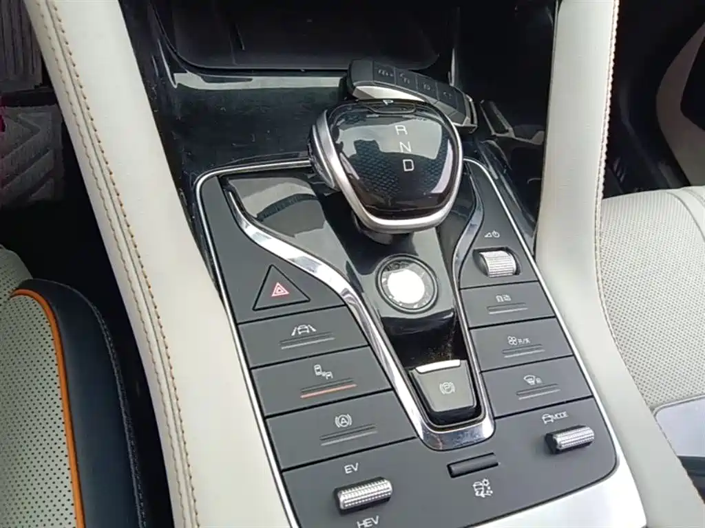 BYD PLUS New Energy 2022 — фото 14