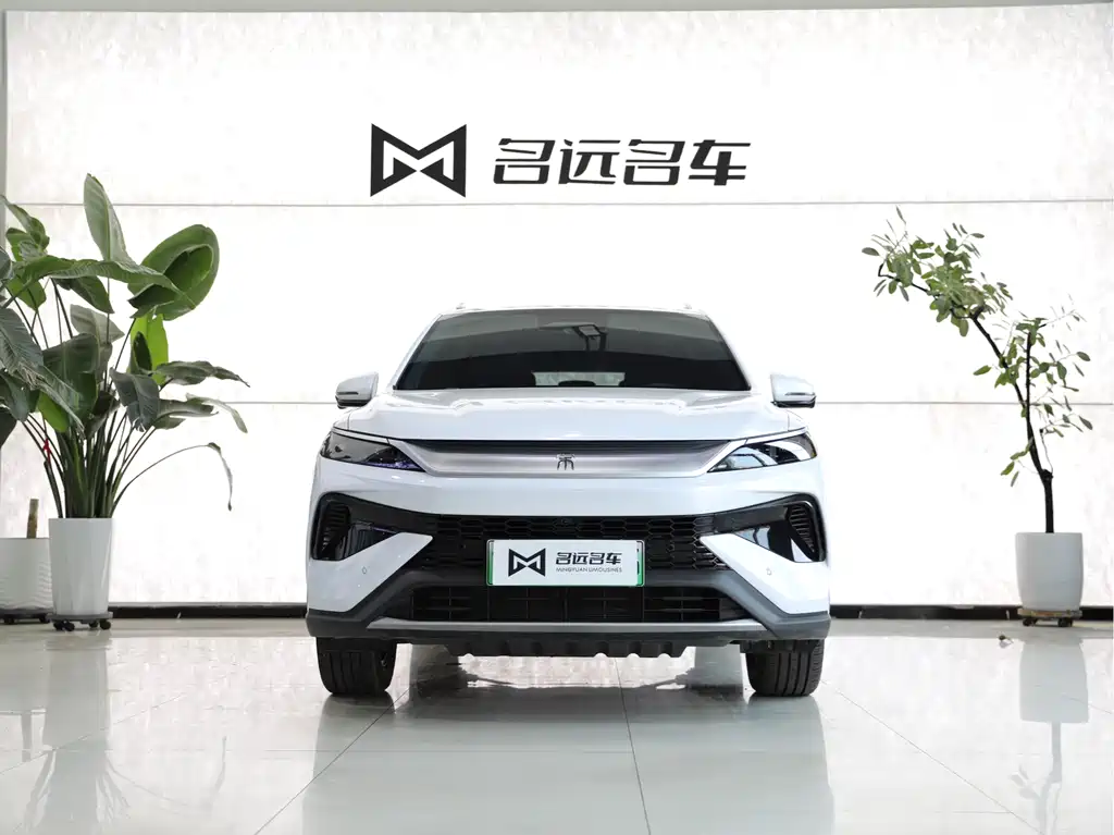 BYD Pro New Energy 2025 — фото 2