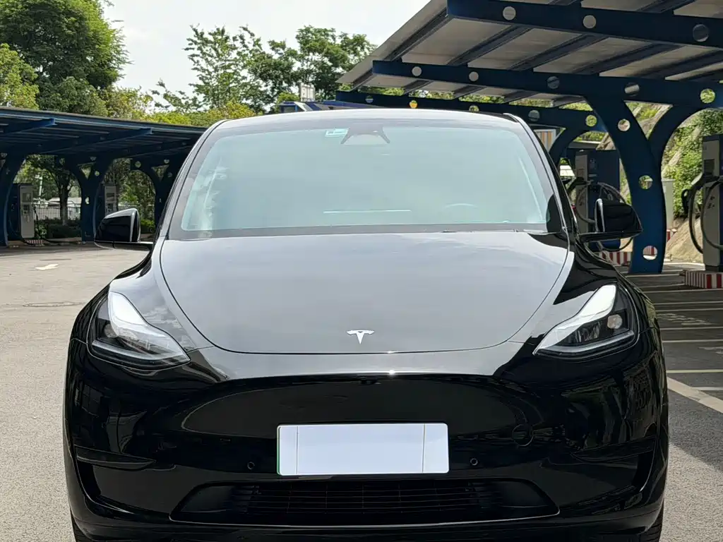 Tesla Model Y 2023 — фото 2