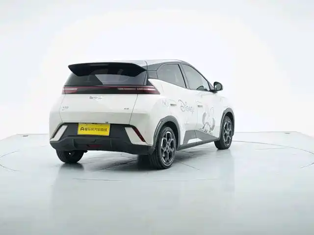 BYD Seagull 2024