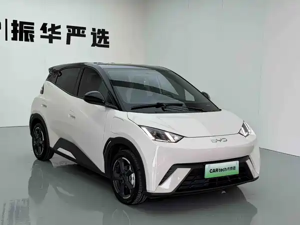 BYD Seagull 2024