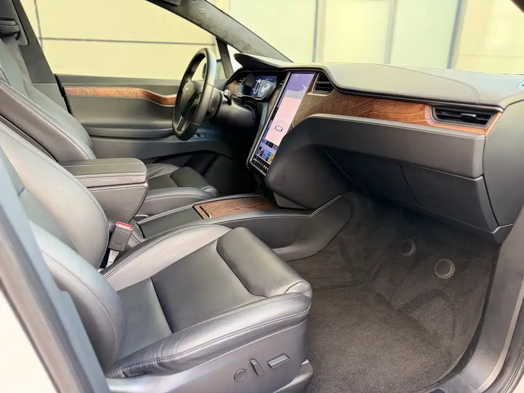 Tesla Model X 2020 — фото 14