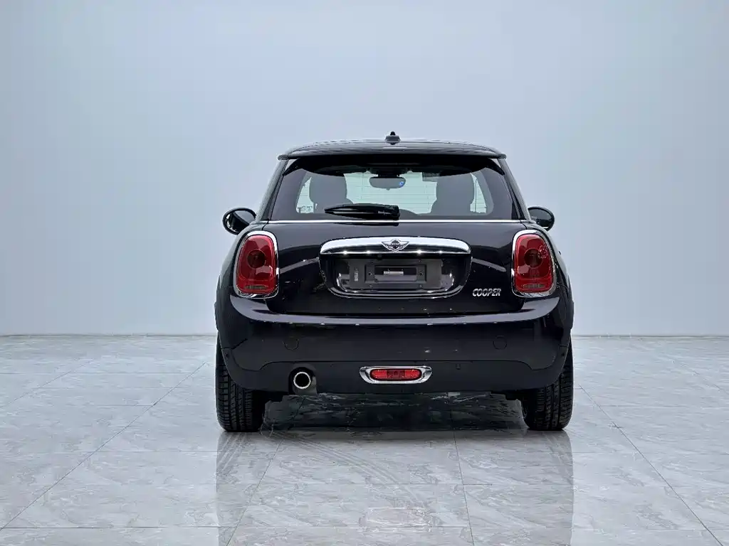 MINI MINI 2015