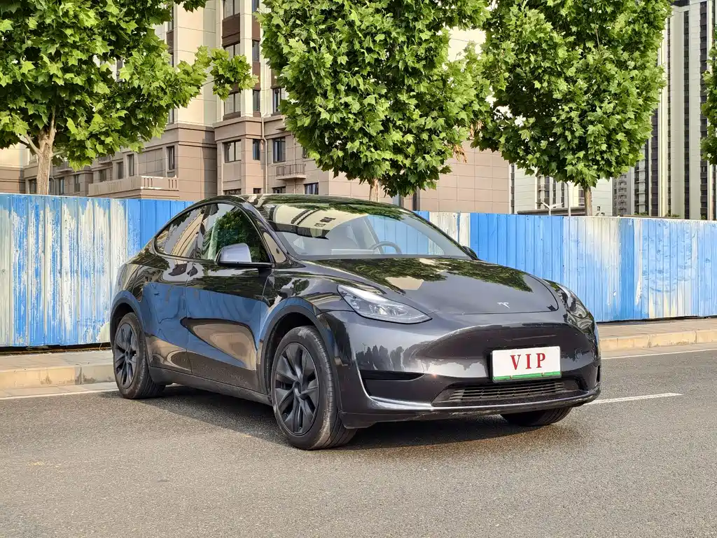Tesla Model Y 2025 — фото 3