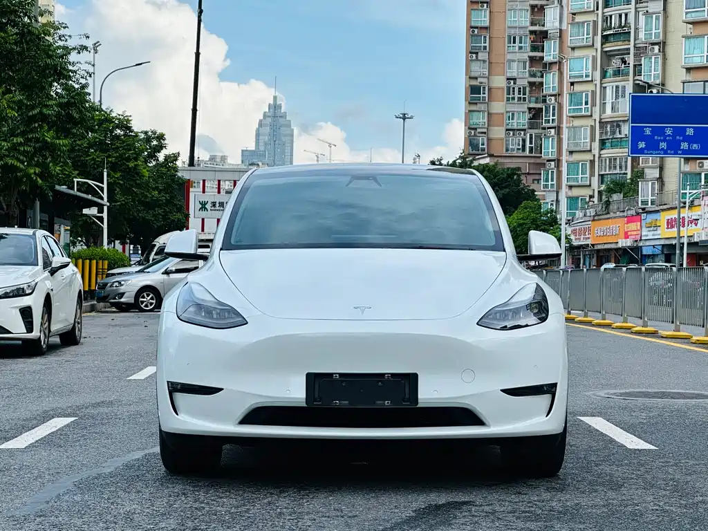 Tesla Model Y 2021 — фото 2