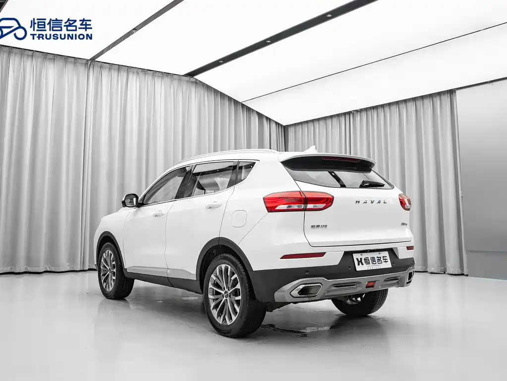 Haval H6 2019 — фото 6