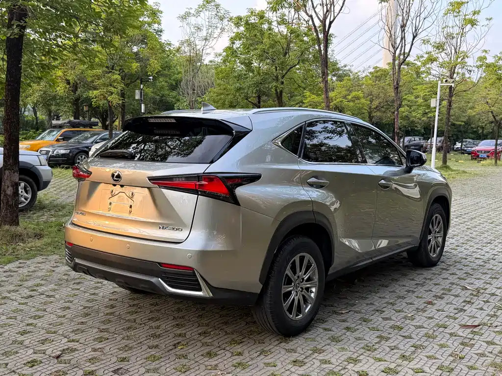 Lexus NX 2021 — фото 6