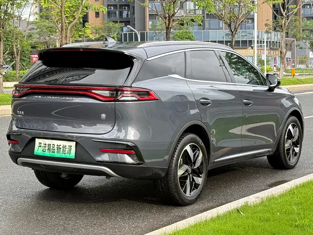 BYD Tang New Energy 2023 — фото 25
