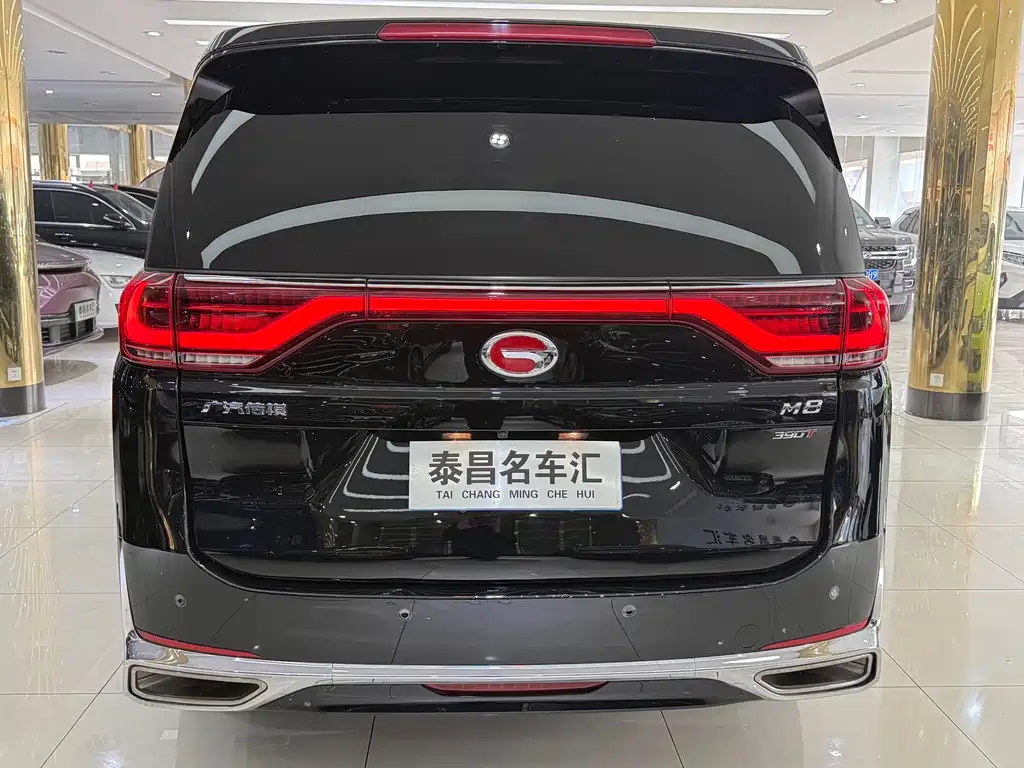 GAC Motor Trumpchi M8 2023 — фото 5