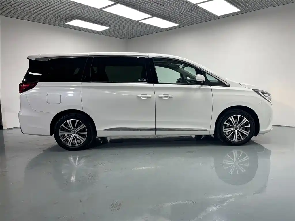 GAC Motor Trumpchi M8 2019 — фото 6