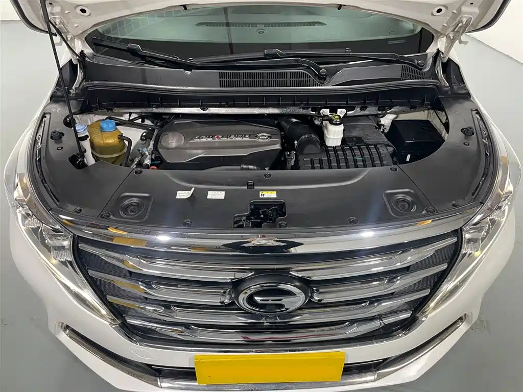 GAC Motor Trumpchi M8 2019 — фото 9