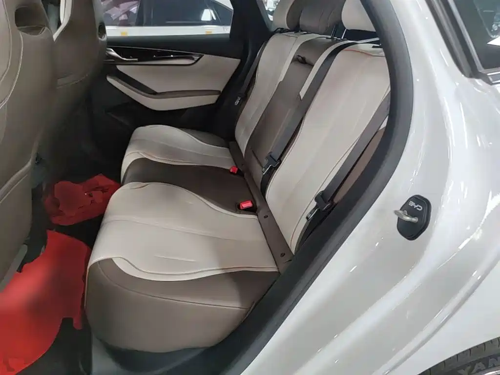 BYD Qin PLUS 2024 — фото 17