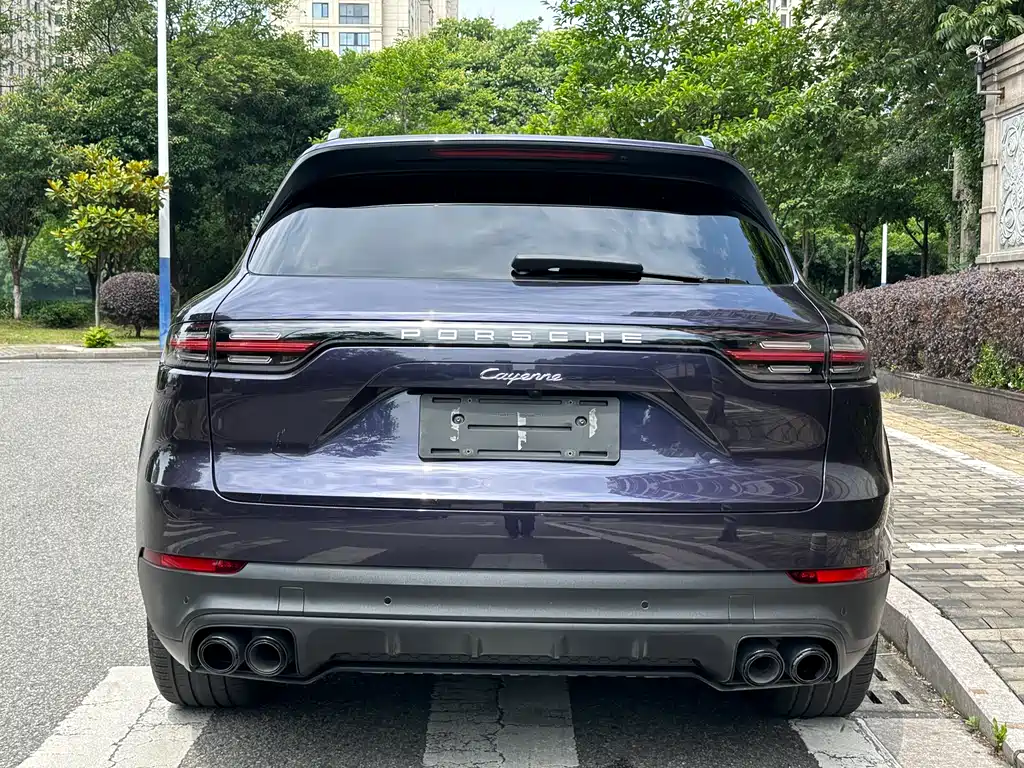 Porsche Cayenne 2019 — фото 13