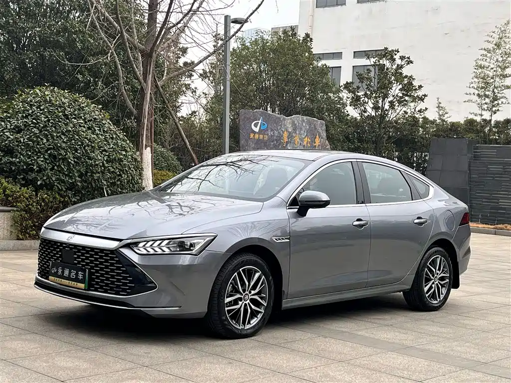 BYD Qin PLUS 2024 — фото 1