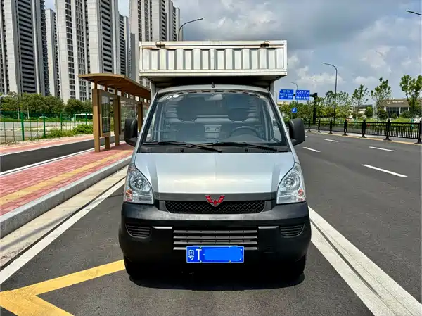 Wuling Rongguang Light Truck 2021