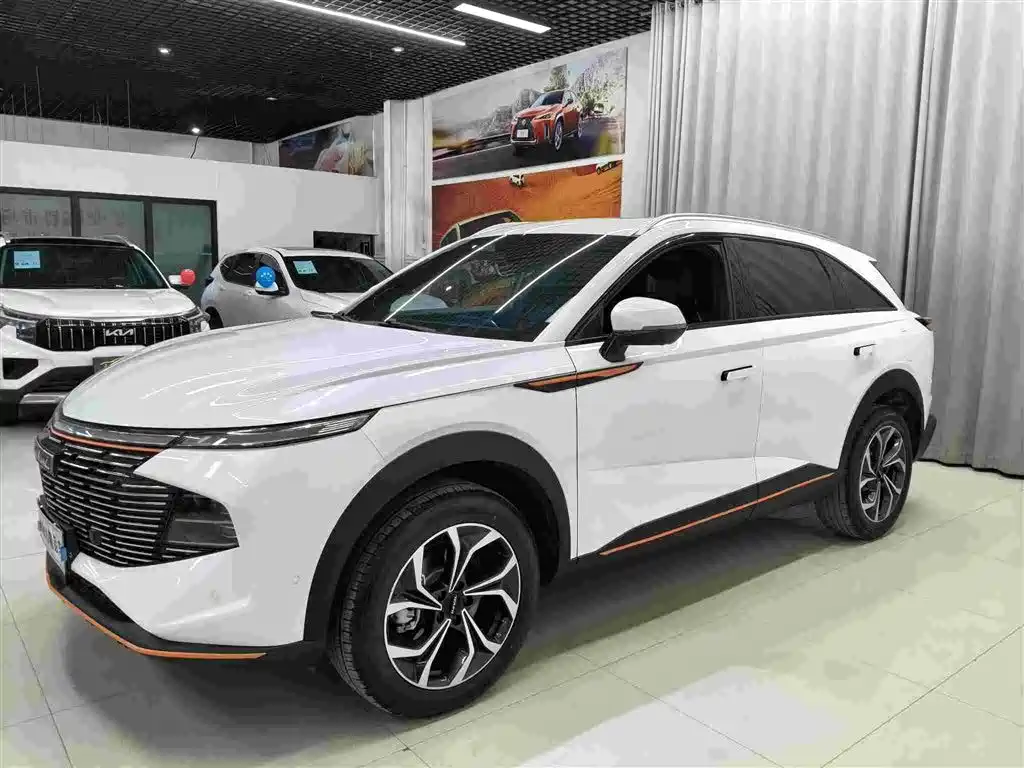 Haval Shenshou 2022 — фото 1
