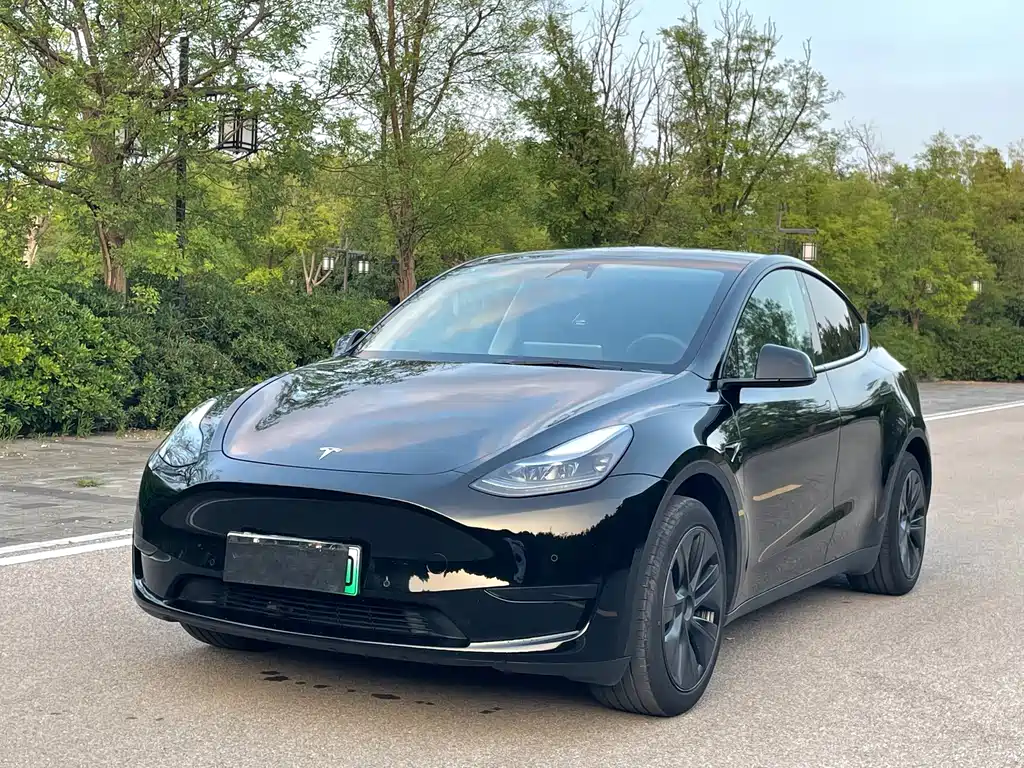 Tesla Model Y 2023 — фото 1