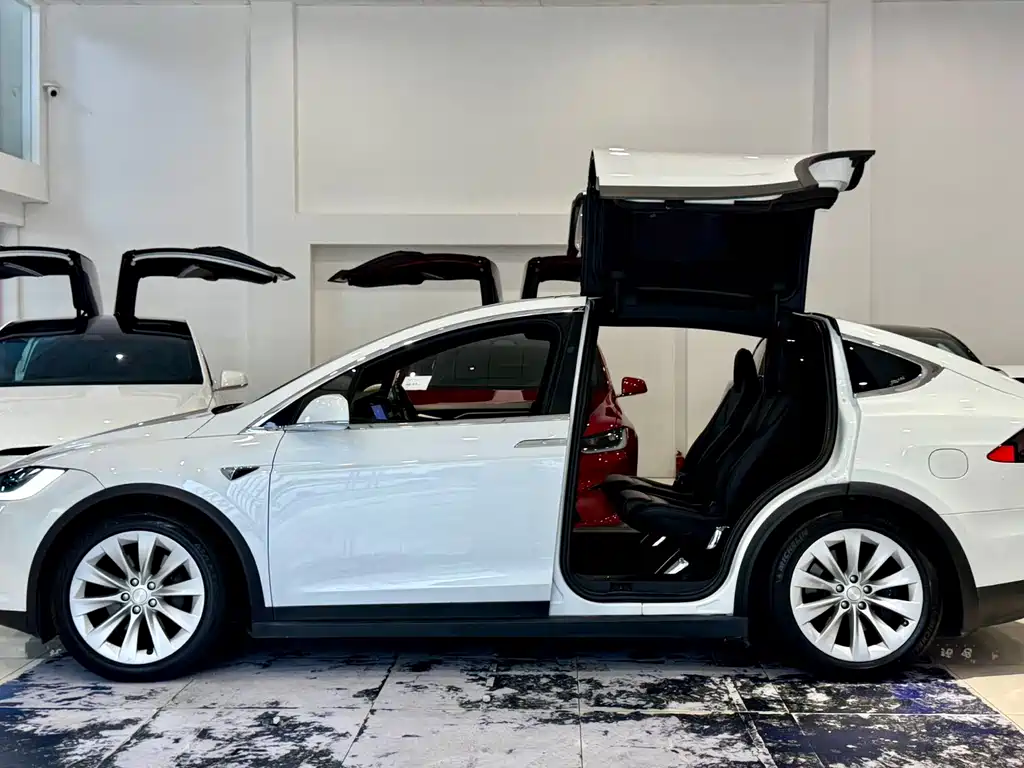 Tesla Model X 2018 — фото 7