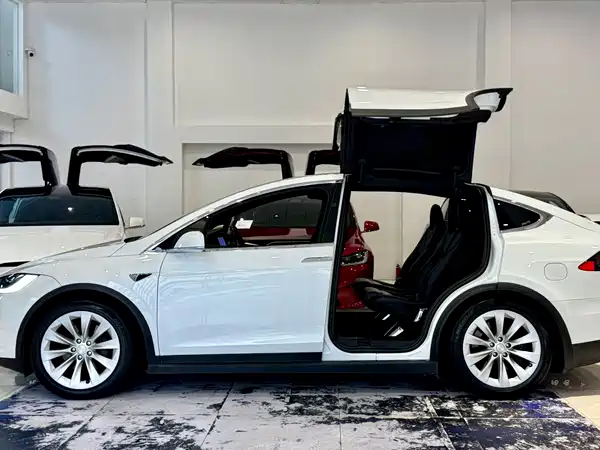 Tesla Model X 2018