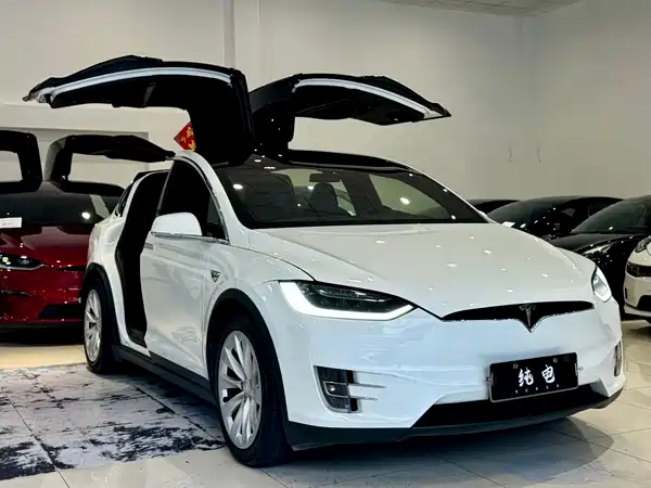 Tesla Model X 2018