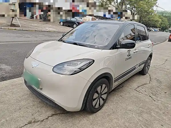 Wuling Bingo 2024