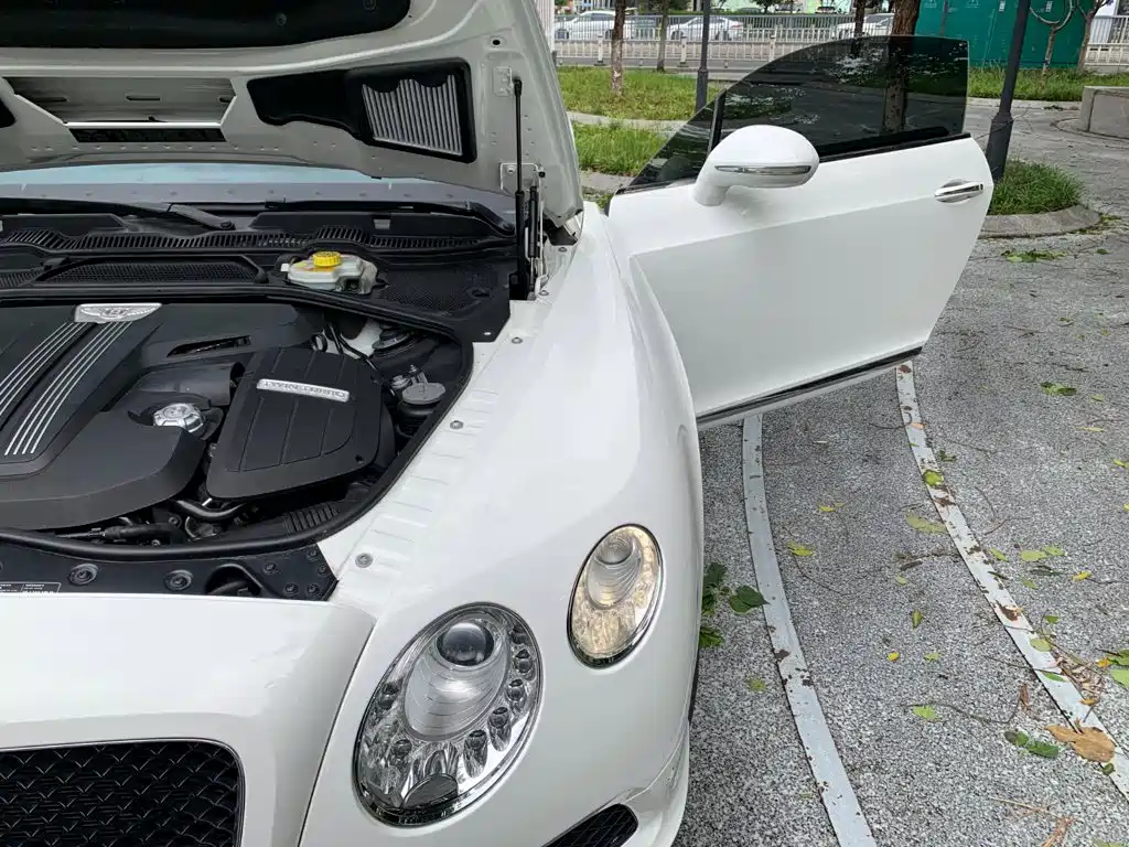 Bentley Continental 2013 — фото 20