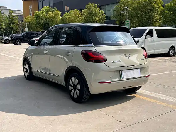 Wuling Bingo 2024