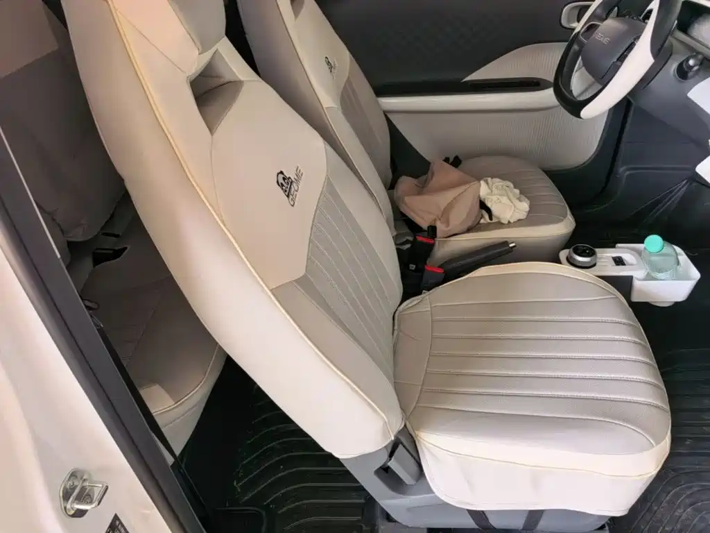 Geely Galaxy Panda 2025 — фото 25