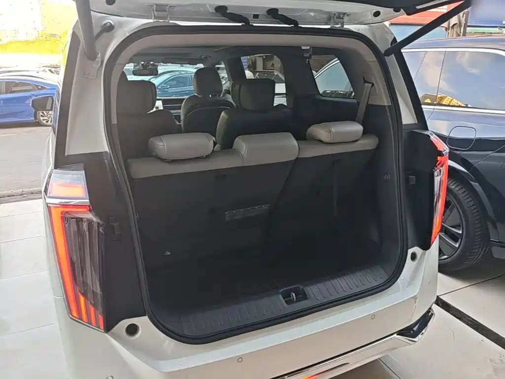 GAC Trumpchi M8 2024 — фото 19
