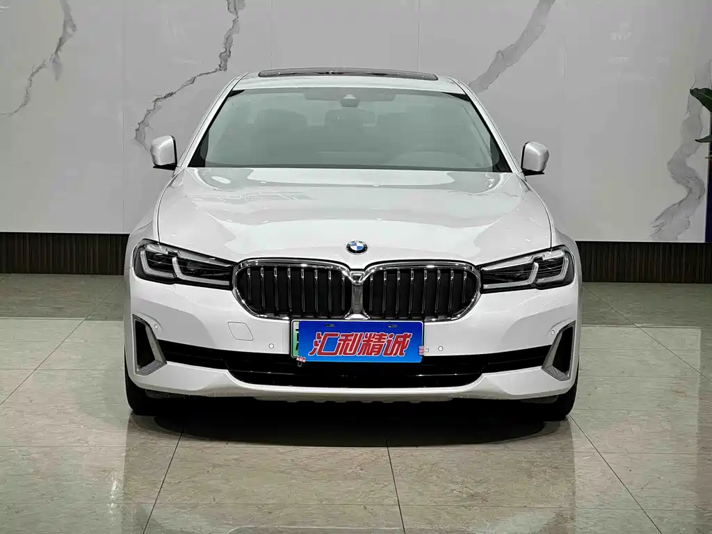 BMW 5 Series New Energy 2021 — фото 2