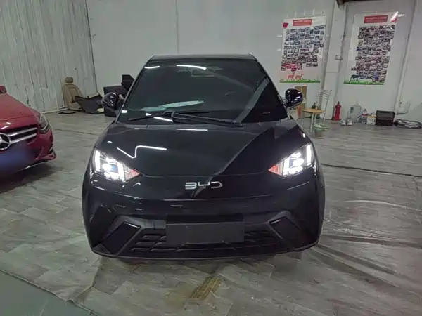 BYD Seagull 2024