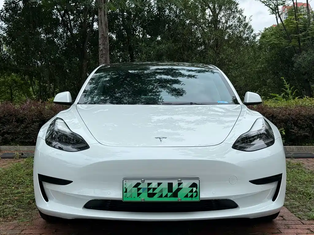 Tesla Model 3 2021 — фото 2