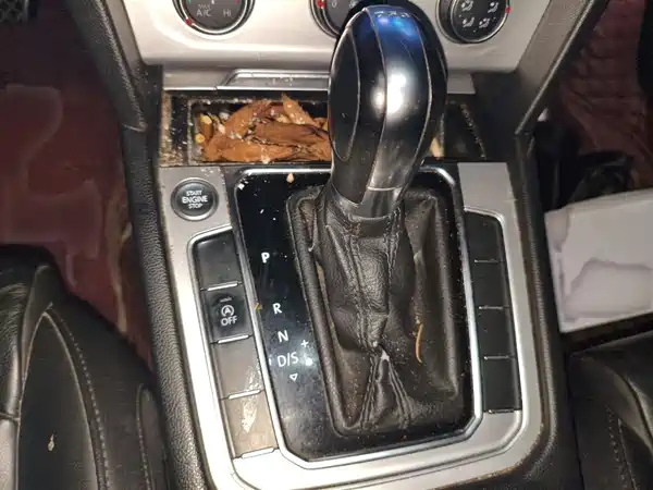 Volkswagen Magotan 2019