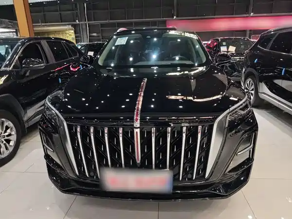 Hongqi HS5 2023