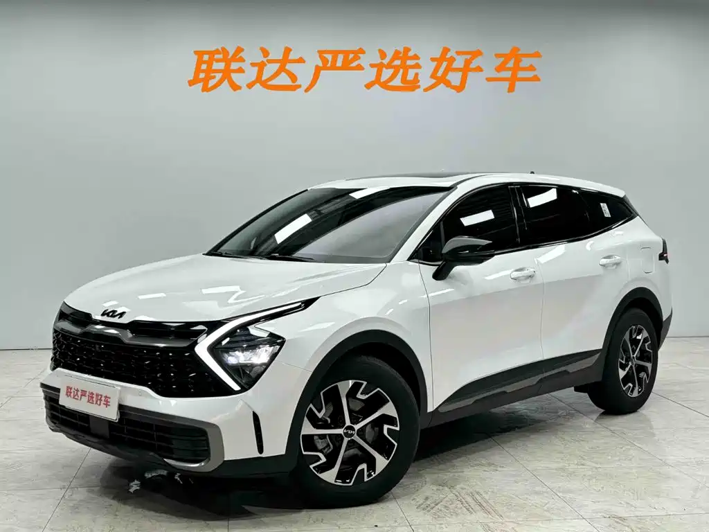 Kia Lion Platinum Expands The Boundary 2026 — фото 1