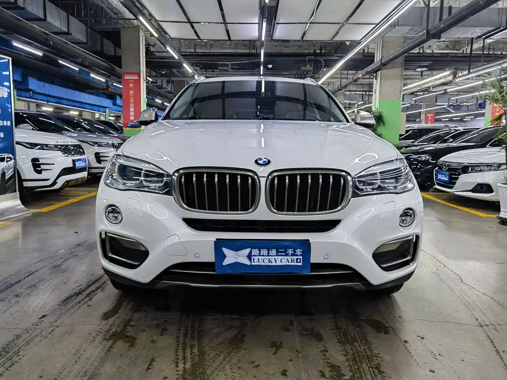 BMW X6 2019 — фото 2