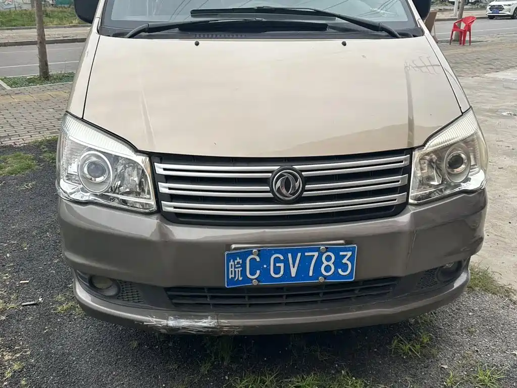 Fengxing Lingzhi 2018
