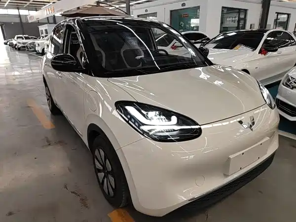 Wuling Bingo 2024