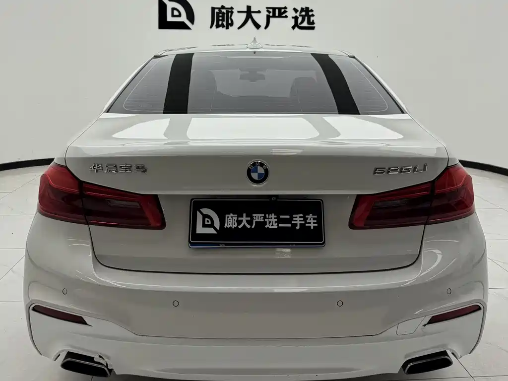 BMW 5 Series 2019